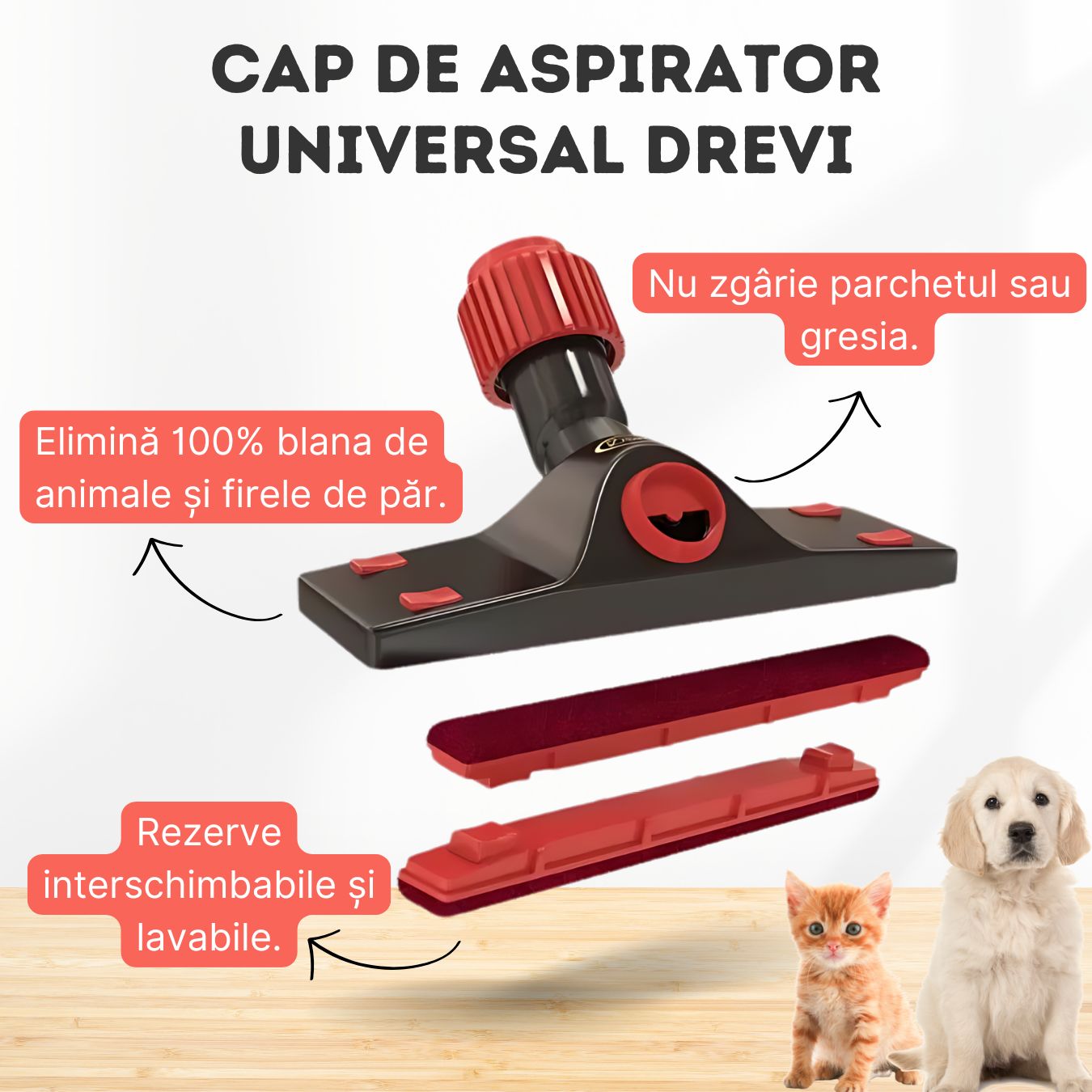 Ce face special capul de aspirator Drevi?