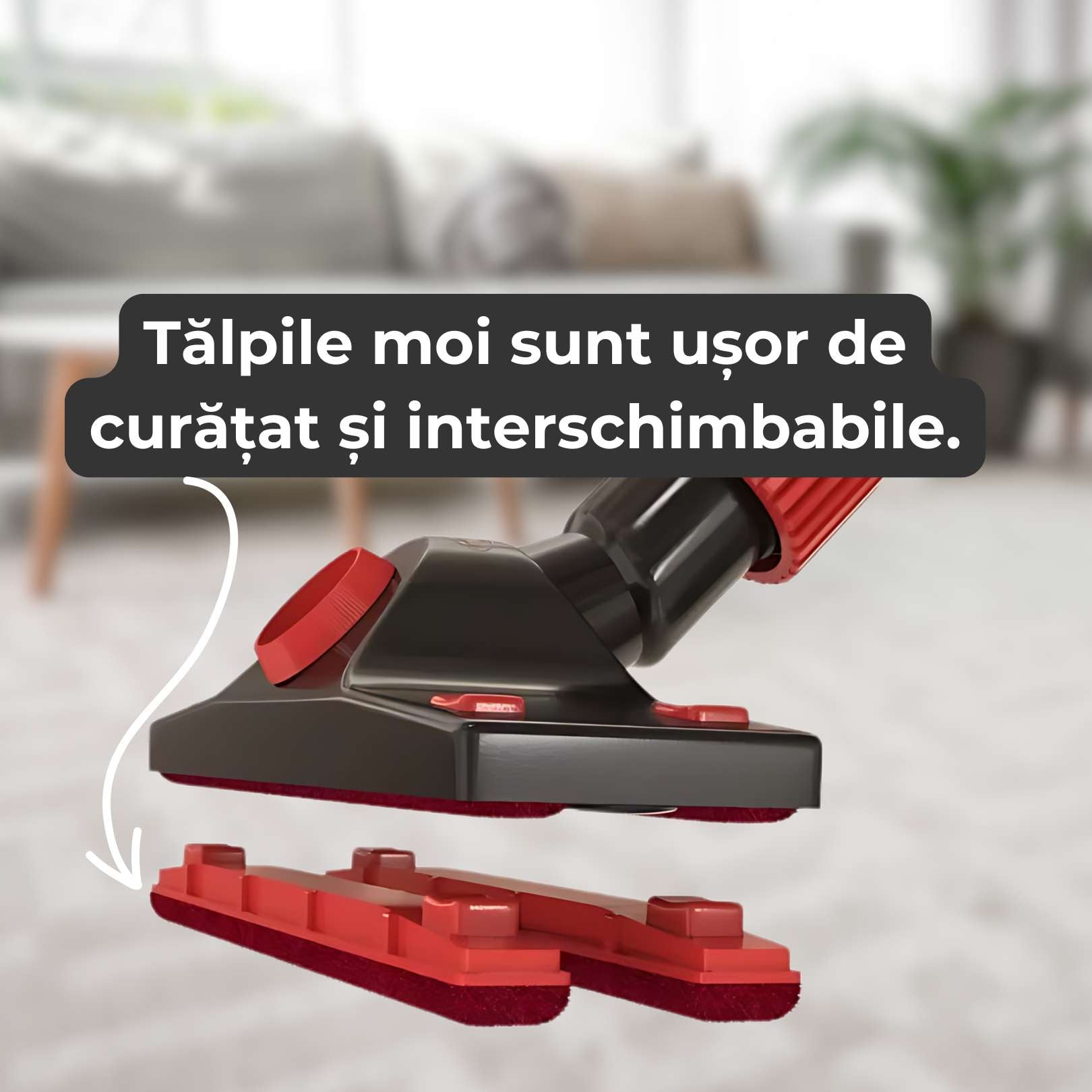 Pachet Dublu - 2 capete de aspirator + 2 perii pentru haine + Transport Gratuit